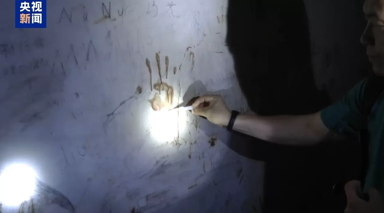 复刻四大家族“政军商”模型、挑手筋剁手指……缅北果敢徐老发案细节曝光-第12张图片-