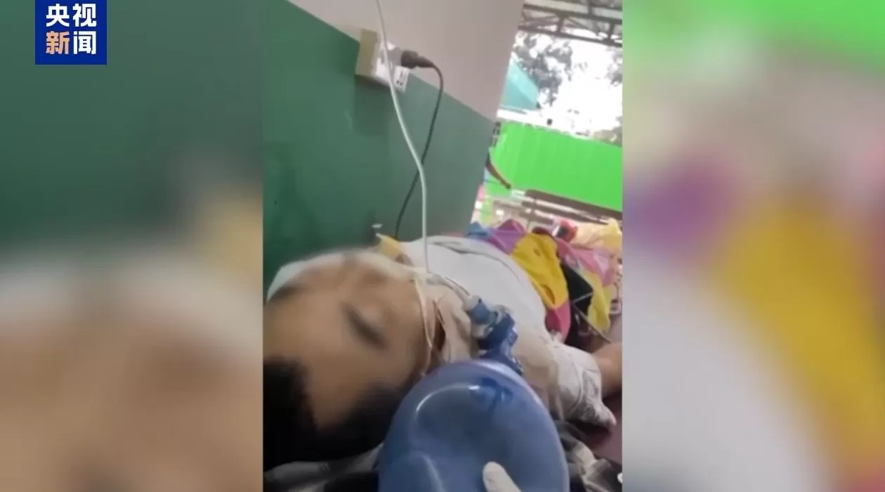 复刻四大家族“政军商”模型、挑手筋剁手指……缅北果敢徐老发案细节曝光-第16张图片-