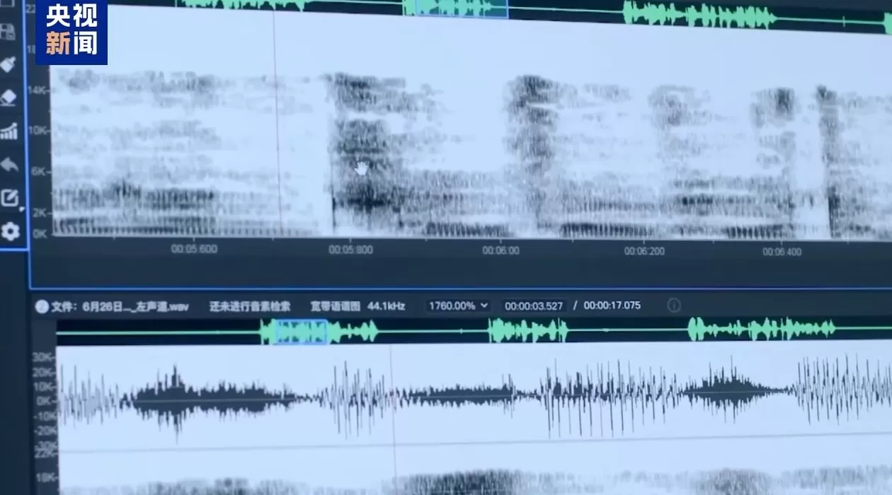 复刻四大家族“政军商”模型、挑手筋剁手指……缅北果敢徐老发案细节曝光-第20张图片-