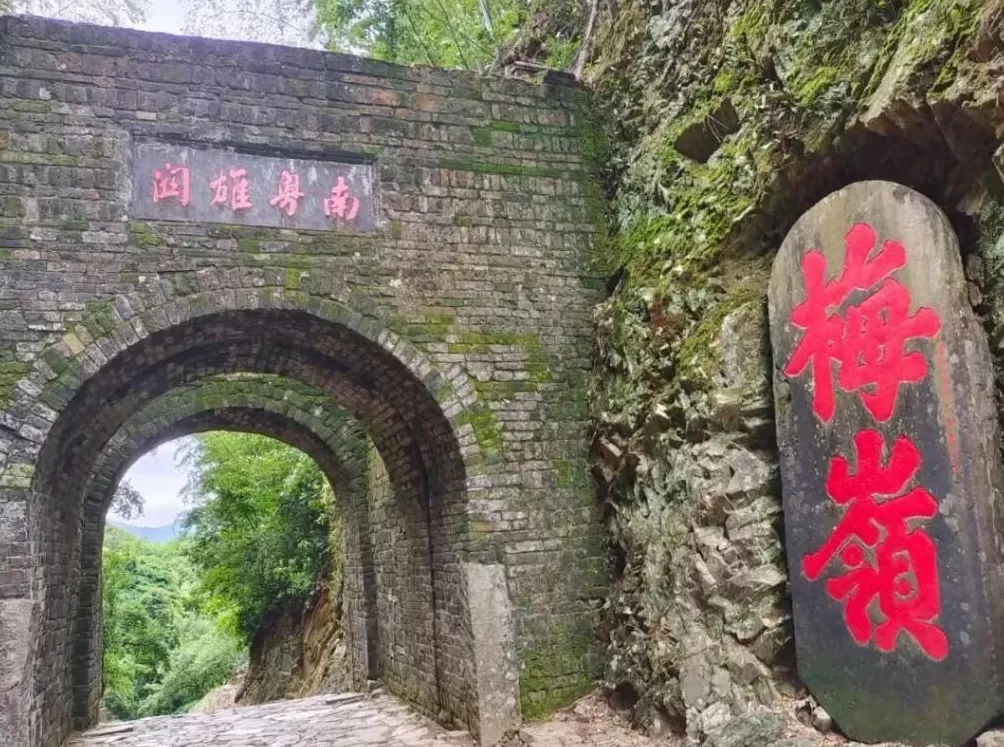 “岭南第一人”，再受关注-第5张图片-