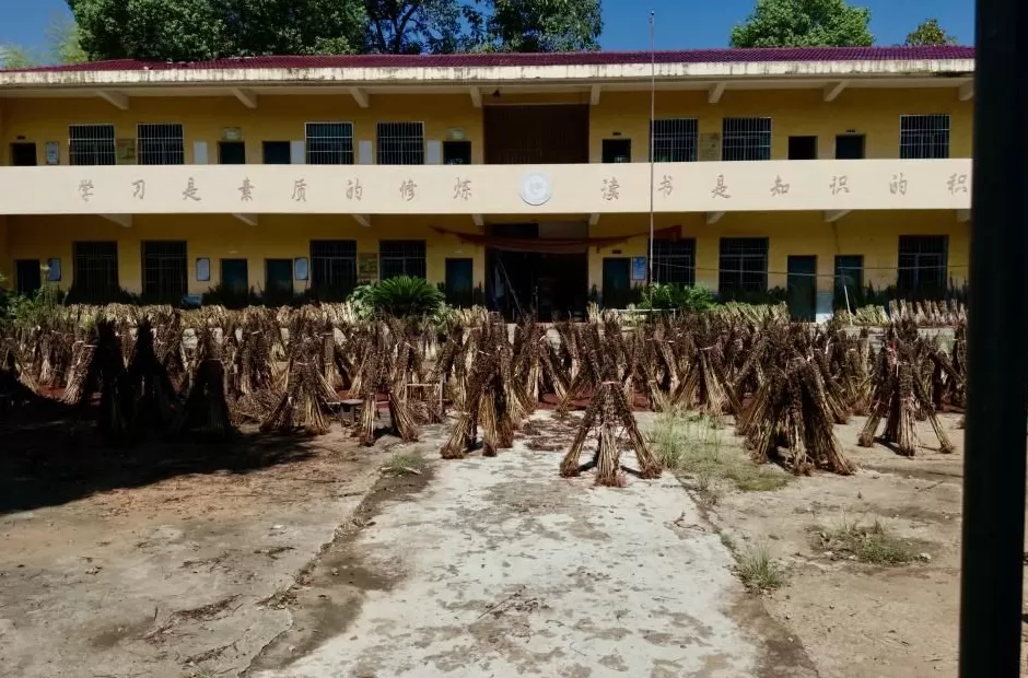 在县城当老师，没那么吃香了-第1张图片-