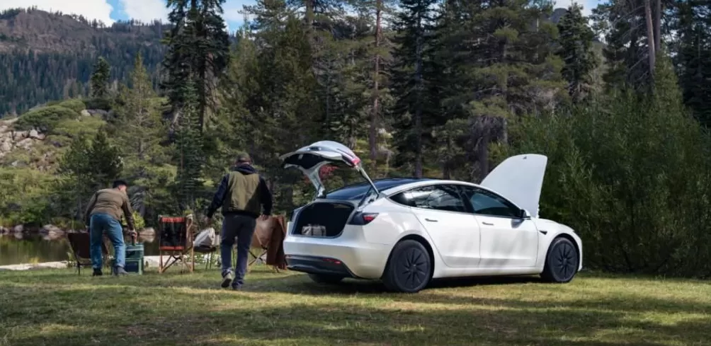 史上最便宜特斯拉，毛坯程度看笑中国车主-第1张图片-