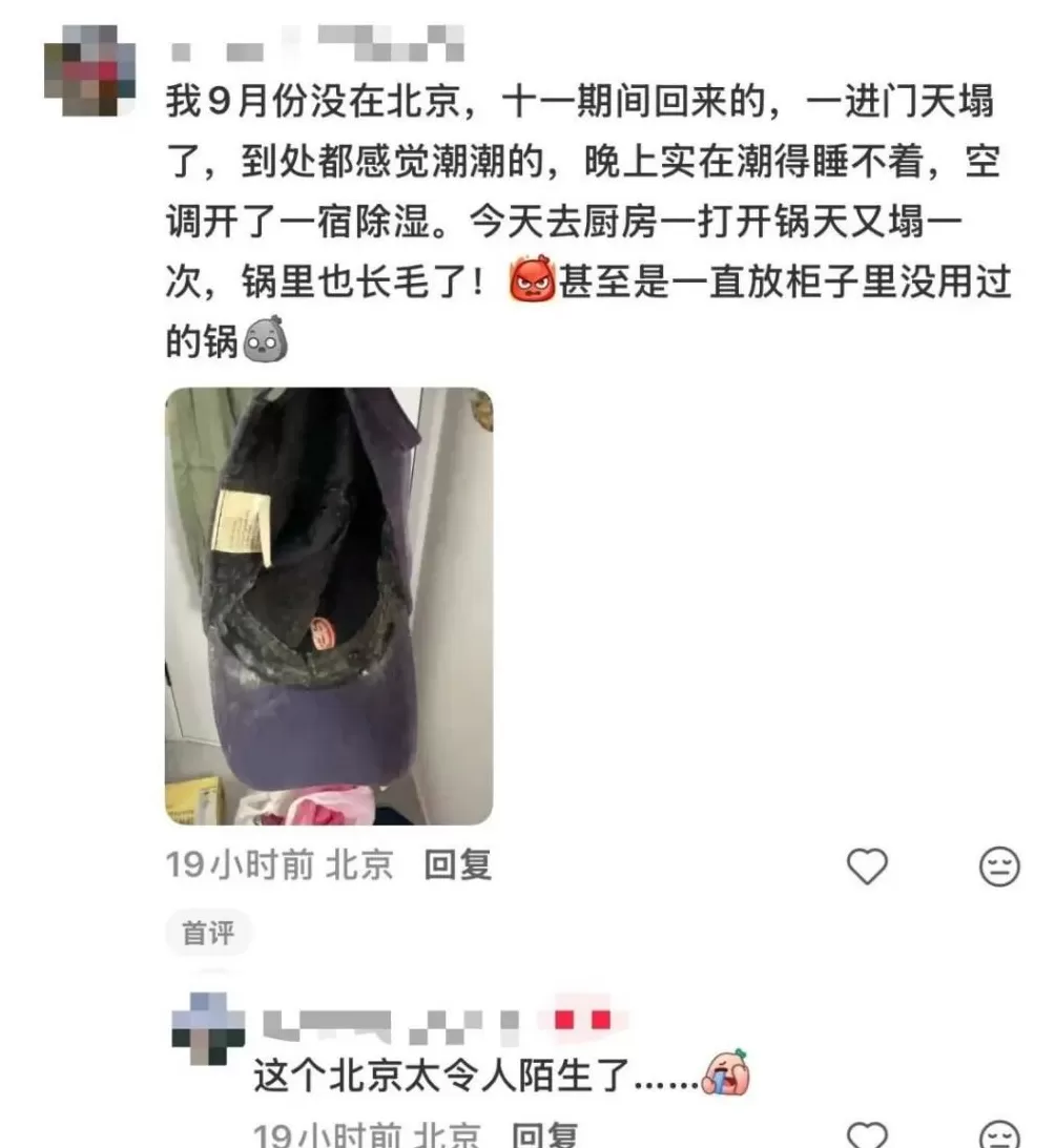 最近的北京，冷冷冷冷冷冷冷湿了-第7张图片-