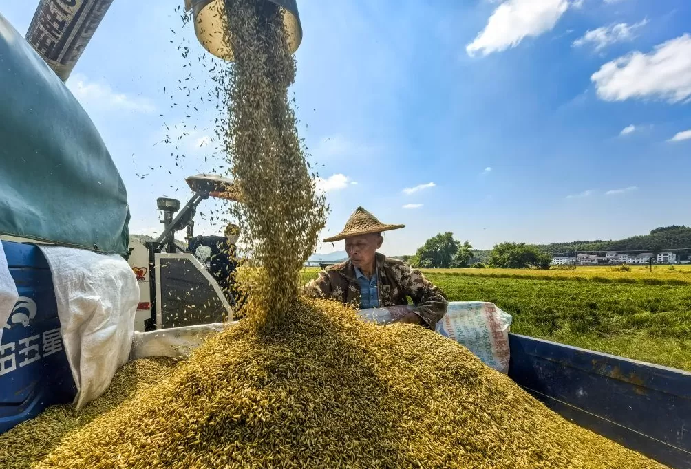 数字化革新的建宁样本：让农民穿皮鞋种田，证明产业变革非大城市专属-第2张图片-