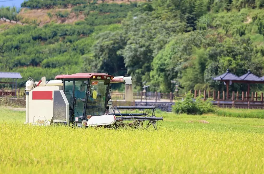 数字化革新的建宁样本：让农民穿皮鞋种田，证明产业变革非大城市专属-第1张图片-