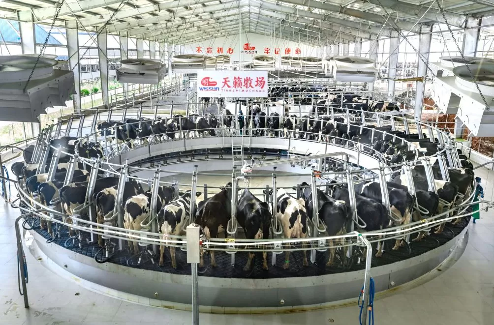 数字化革新的建宁样本：让农民穿皮鞋种田，证明产业变革非大城市专属-第5张图片-