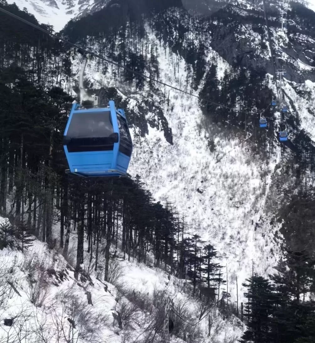 19人团伙用 “外挂”抢购玉龙雪山索道票并囤积倒卖，已被移送起诉-第3张图片-