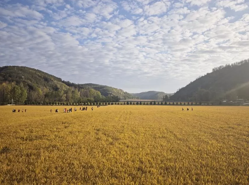 南泥湾红色旅游热度不减：今年已接待游客110万余人次-第1张图片-