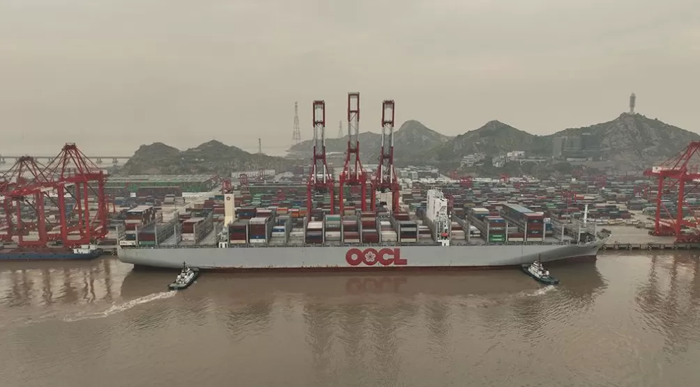 第八届进博会南非展品抵沪，带来了果干、红茶和工艺品-第1张图片-