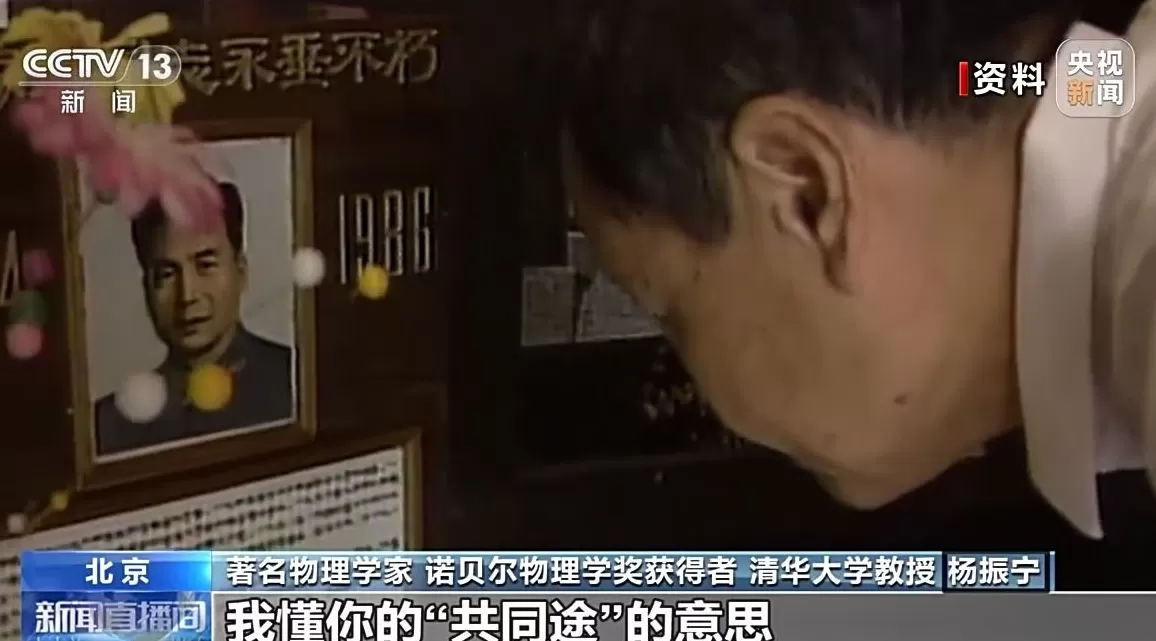 杨振宁曾隔空对话邓稼先：我懂你的“共同途”-第6张图片-