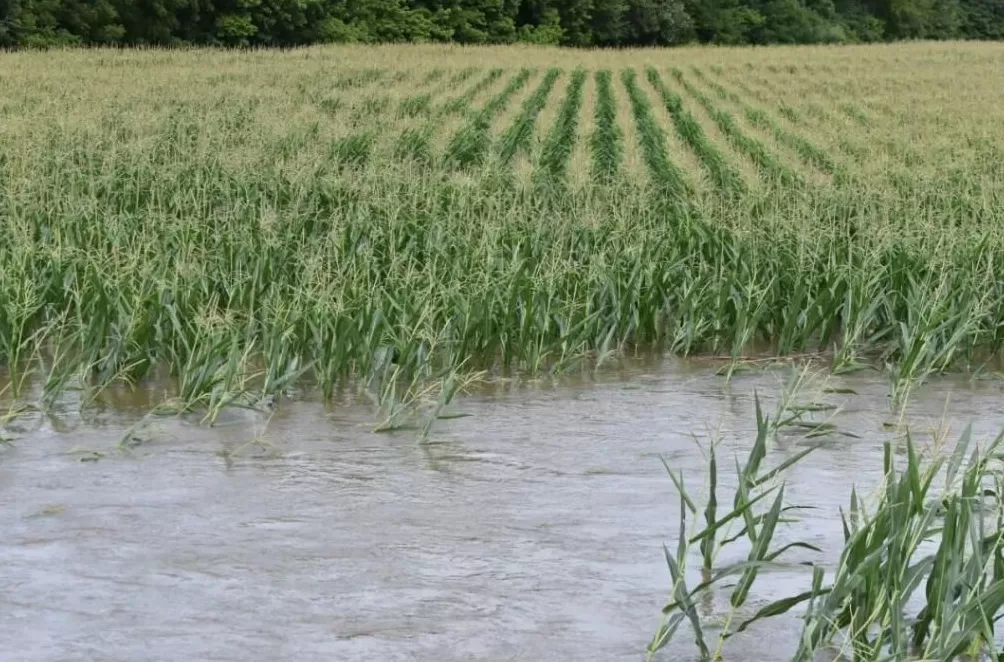 粮食烘干机卖空了-第1张图片-