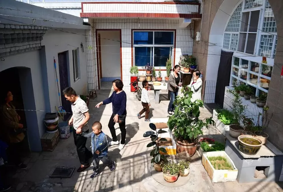 你可知道路生梅？-第7张图片-