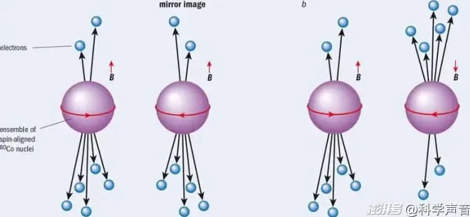 汪诘：诺奖以他为荣，纪念杨振宁先生-第7张图片-