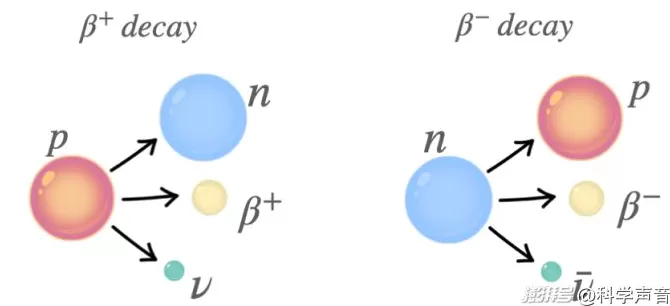汪诘：诺奖以他为荣，纪念杨振宁先生-第5张图片-