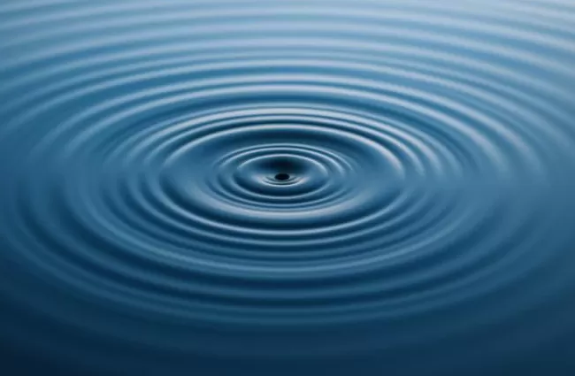 我们一般人要如何理解杨振宁的科学成就-第12张图片-