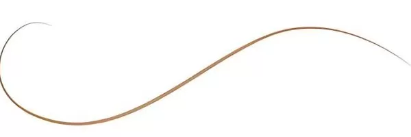 我们一般人要如何理解杨振宁的科学成就-第17张图片-