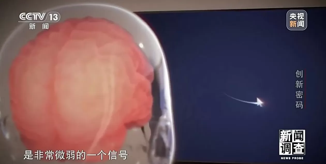 新闻调查丨领跑全球！解锁杭州“六小龙”崛起背后的创新密码-第18张图片-