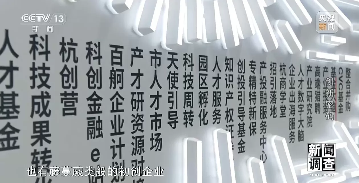 新闻调查丨领跑全球！解锁杭州“六小龙”崛起背后的创新密码-第34张图片-