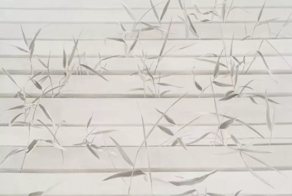 全国23所高校师生上海呈现“城市·花园”-第7张图片-