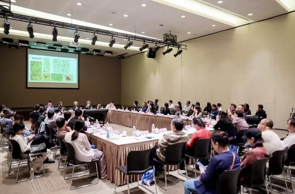 全国23所高校师生上海呈现“城市·花园”-第9张图片-