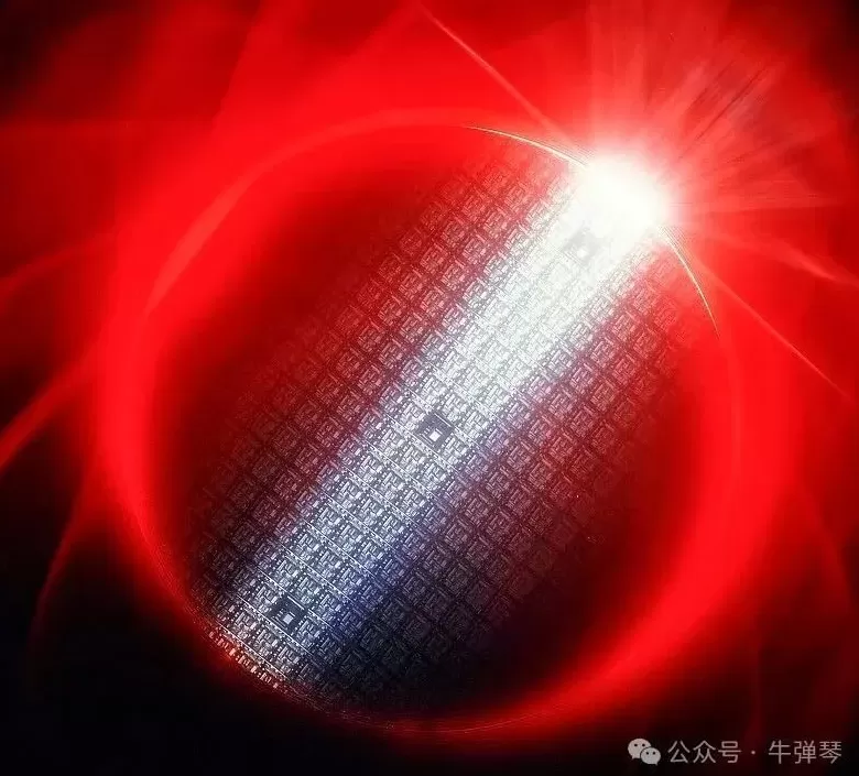 荷兰被骂惨了-第1张图片-