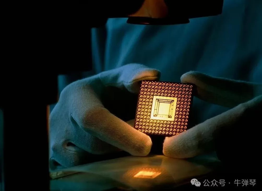 荷兰被骂惨了-第4张图片-