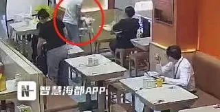 宠物狗在店内坐宝宝椅就餐？福州一餐厅回应-第1张图片-
