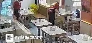 宠物狗在店内坐宝宝椅就餐？福州一餐厅回应-第2张图片-