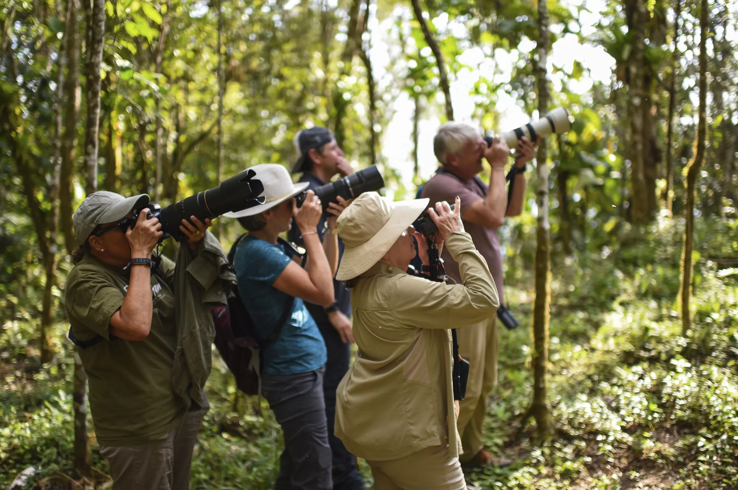 一边是被驯化的动物，一边是被驯化的人｜编辑部聊天室-第9张图片-