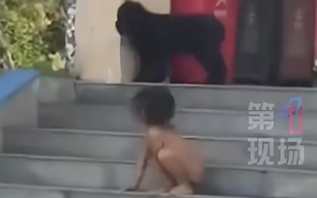 看到“野人孩子”，心里为何那么痛-第7张图片-