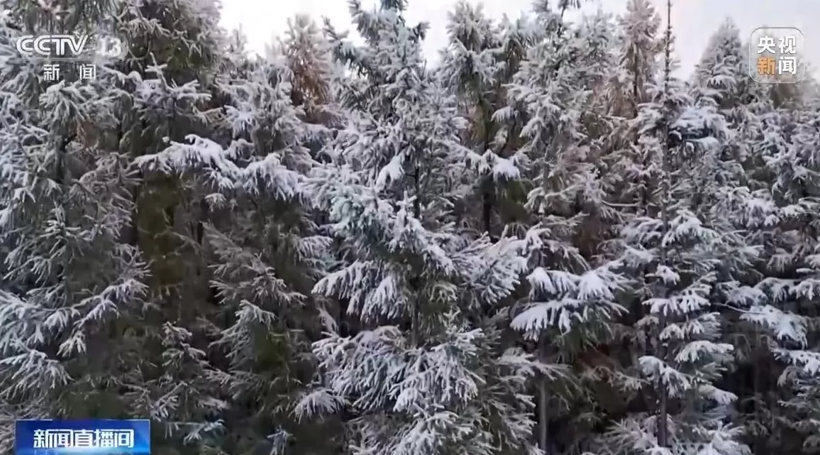 冷空气持续影响我国 ，降温范围再扩大-第4张图片-