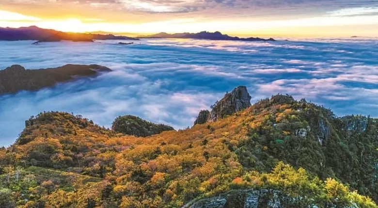 【高质量发展看陕西】生态美、产业强，绿水青山终不负-第2张图片-