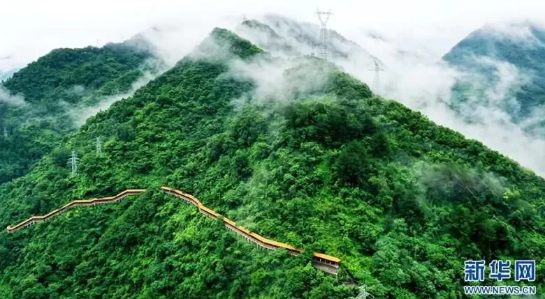 【高质量发展看陕西】生态美、产业强，绿水青山终不负-第3张图片-