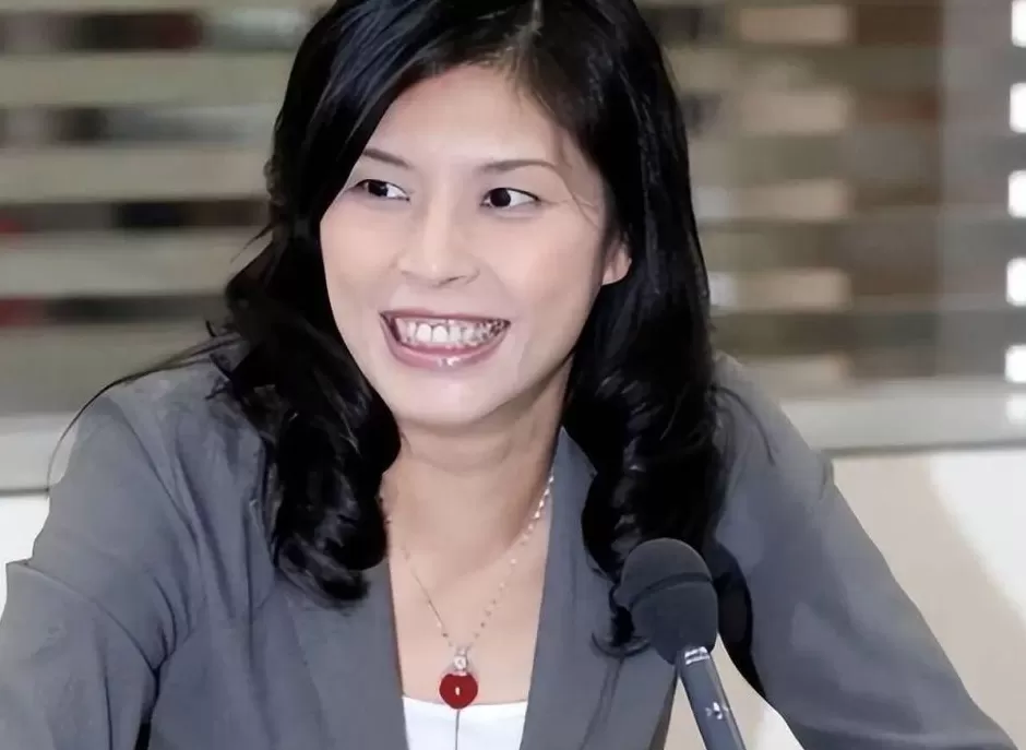 郑丽文上任，国民党能不能开始“骨气抗争”？-第3张图片-