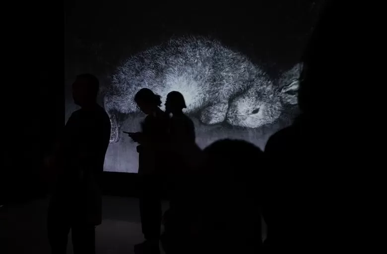 如何看待临终时光？“将死亡带回生活”-第9张图片-