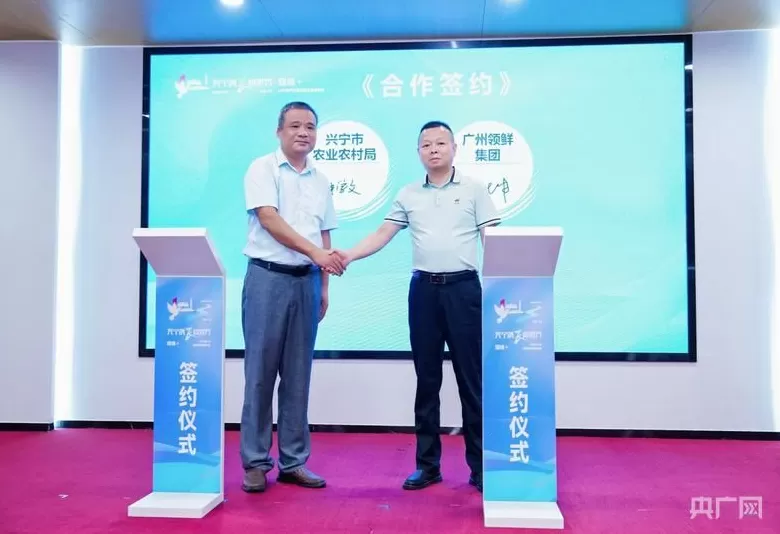 “三、五年后，兴宁鸽的无形与有形资产比会是多少？”一一“媒体+”兴宁鸽产业“诸葛亮”会议在穗举办-第8张图片-