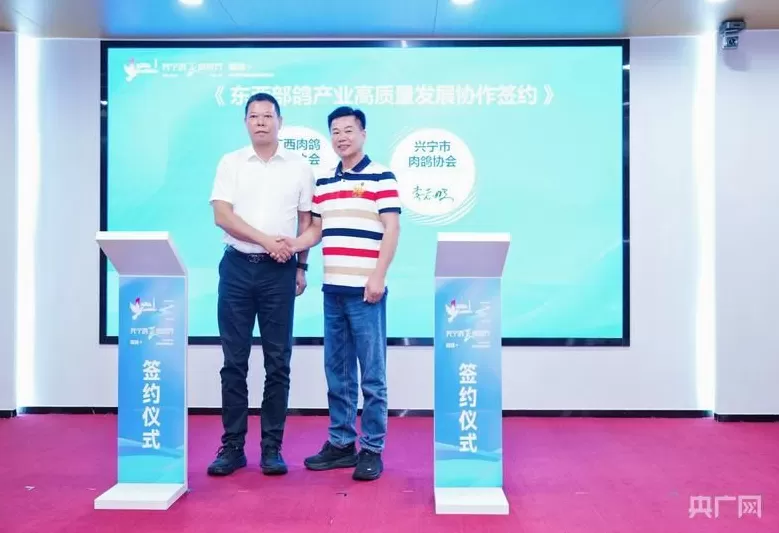 “三、五年后，兴宁鸽的无形与有形资产比会是多少？”一一“媒体+”兴宁鸽产业“诸葛亮”会议在穗举办-第6张图片-