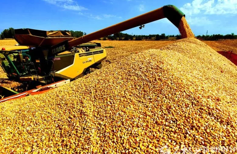 完整准确全面贯彻新时代党的治疆方略丨建设“西部粮仓”-第2张图片-