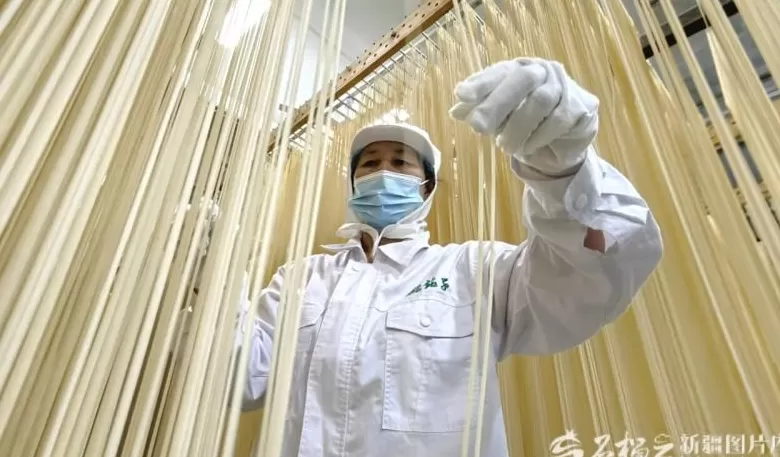 完整准确全面贯彻新时代党的治疆方略丨建设“西部粮仓”-第3张图片-