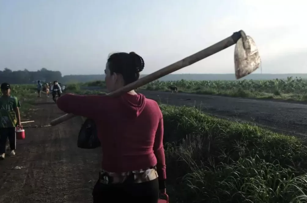 你说，你去越南做什么？-第9张图片-