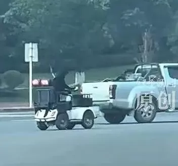 网友拍到一只拉布拉多开车上路！狗主人：系改装后的老年代步车，当地交管局回应-第2张图片-