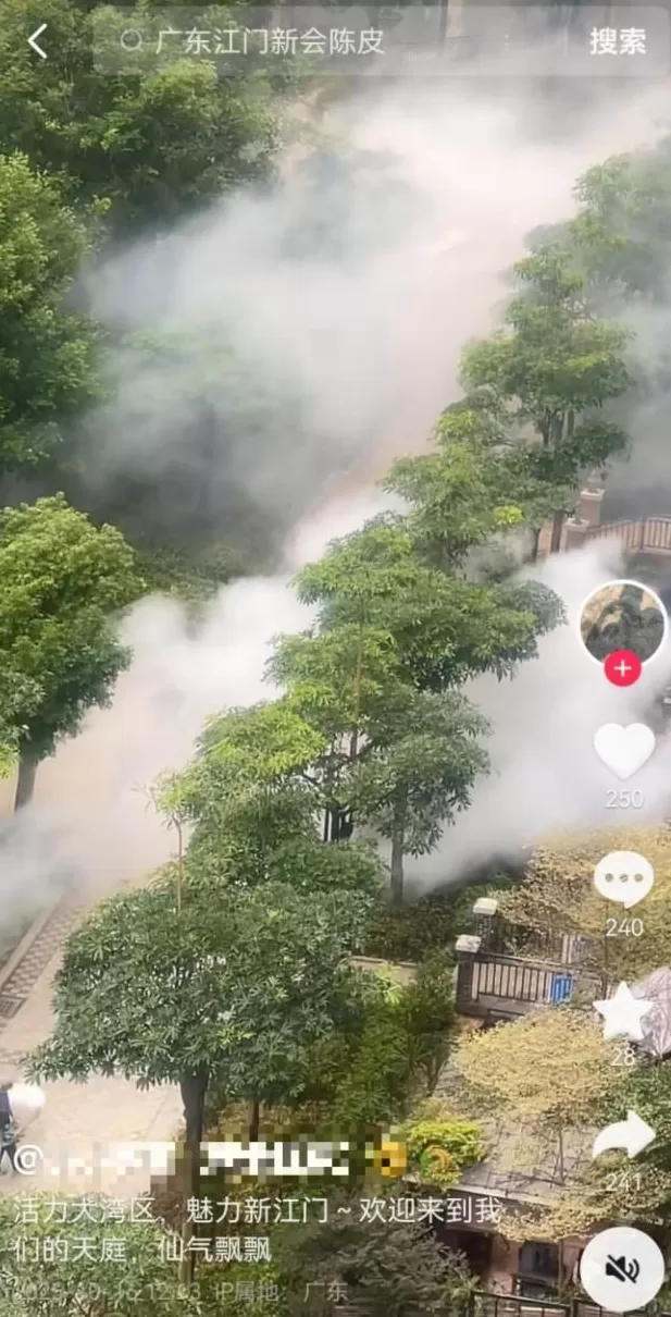 基孔肯雅热的消杀，怎么还在继续？-第10张图片-