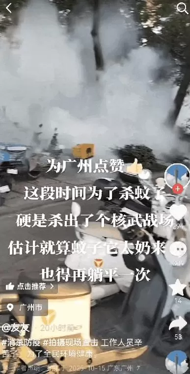 基孔肯雅热的消杀，怎么还在继续？-第11张图片-