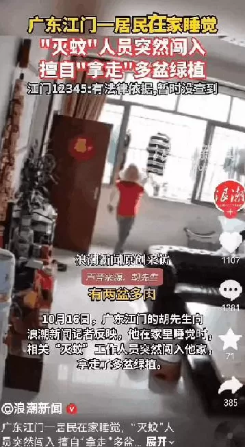 基孔肯雅热的消杀，怎么还在继续？-第22张图片-