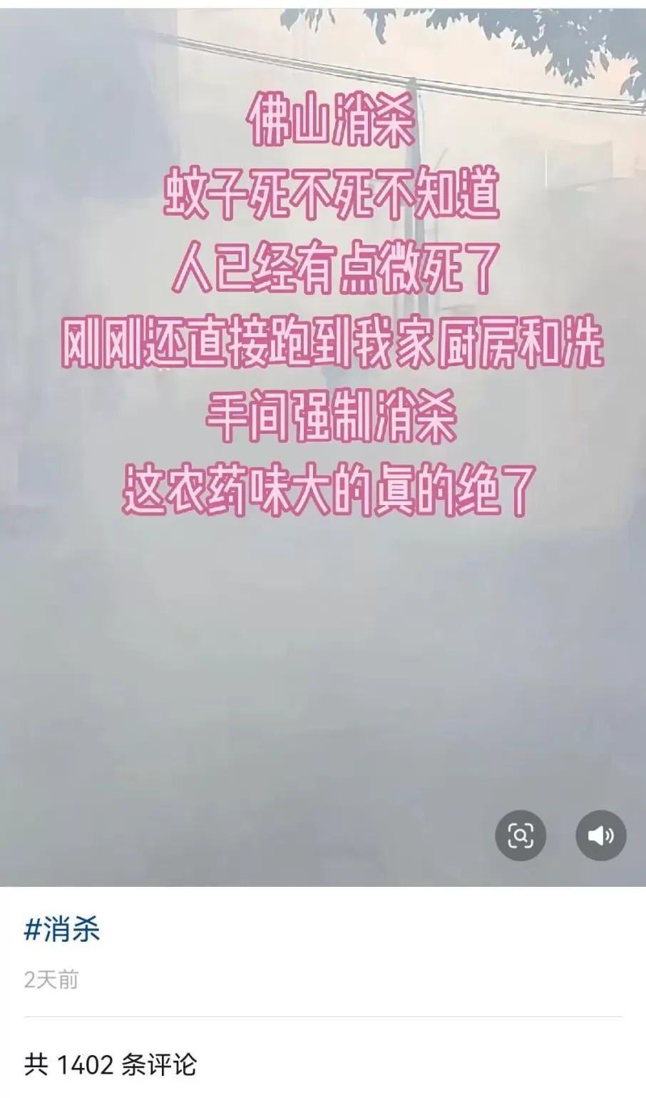 基孔肯雅热的消杀，怎么还在继续？-第21张图片-