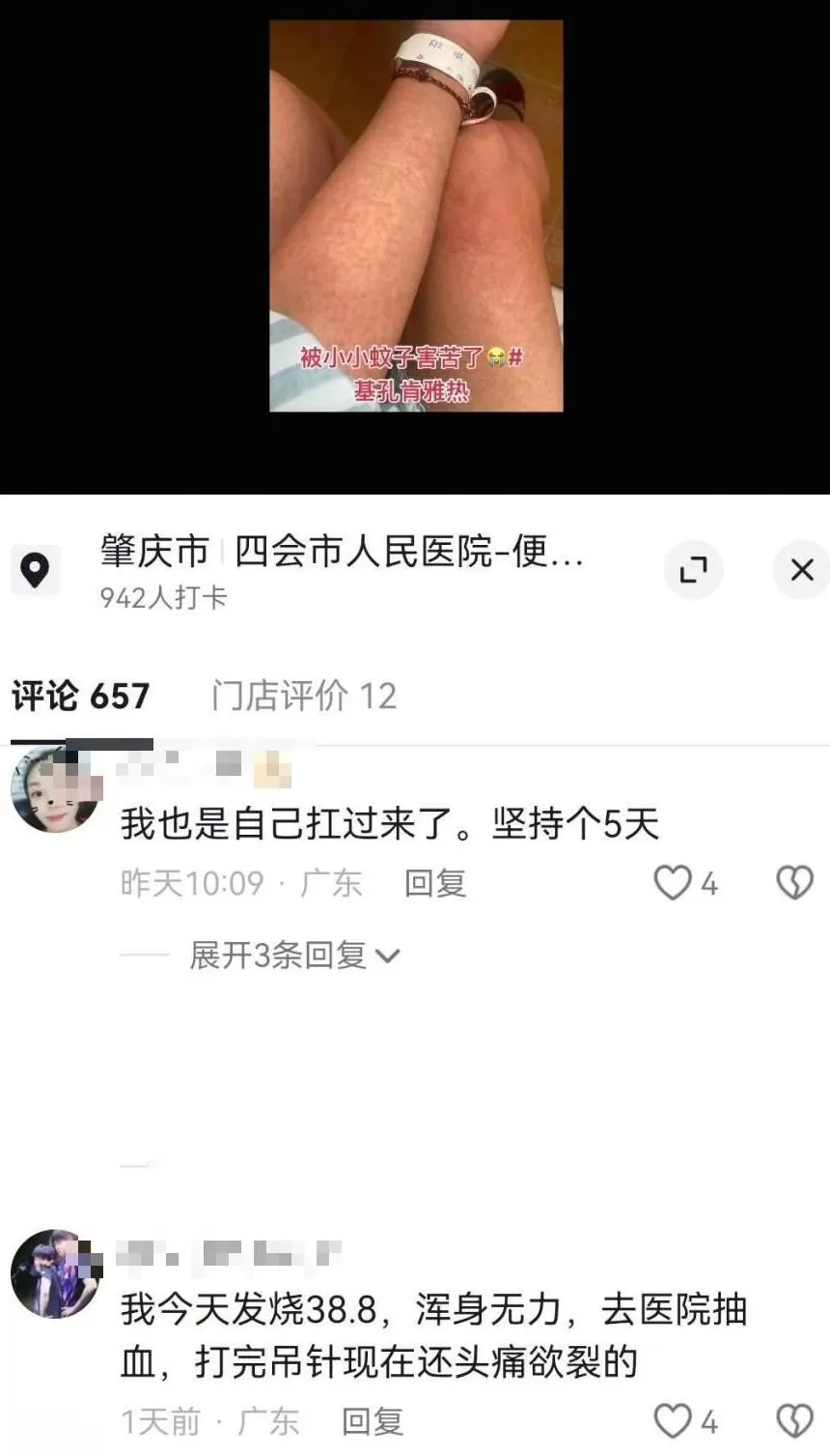 基孔肯雅热的消杀，怎么还在继续？-第26张图片-