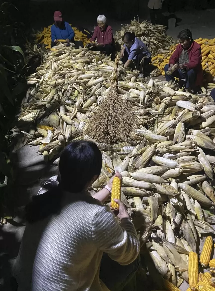一万斤玉米换不来一部苹果手机，土地还要不要种？-第6张图片-