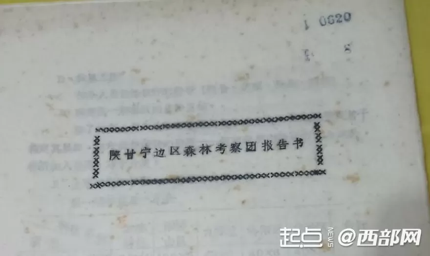 延安苹果今又“红”-第2张图片-