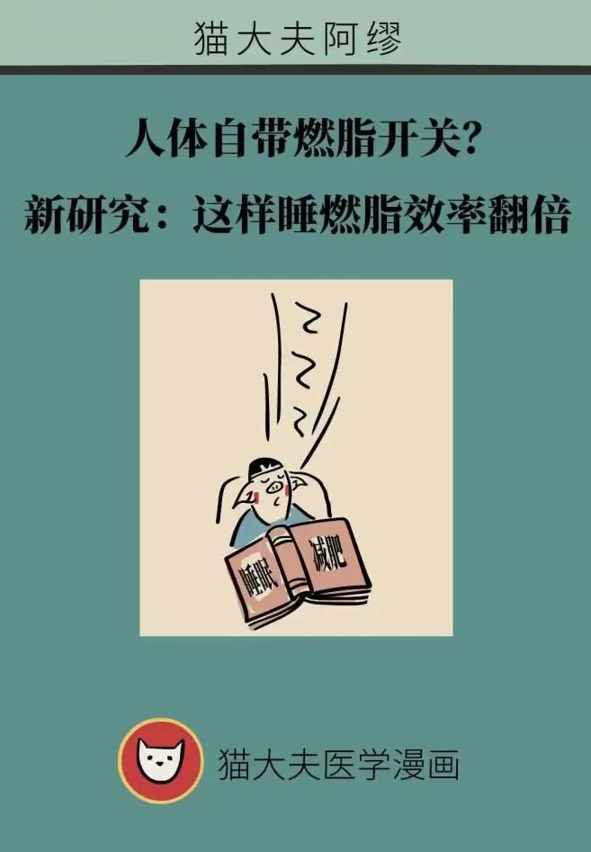 人体自带燃脂开关？这样睡，燃脂效率翻倍-第1张图片-