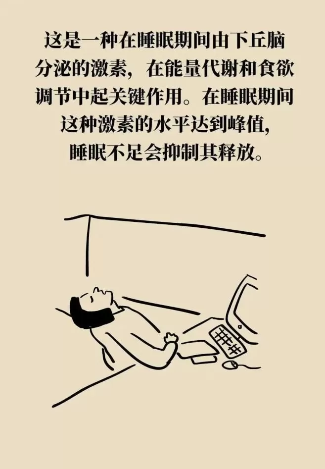 人体自带燃脂开关？这样睡，燃脂效率翻倍-第16张图片-